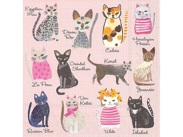 Boston International IHR Cocktail Beverage Paper Napkins 5 x 5 Cool Cats