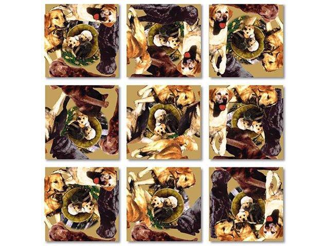 B Dazzle Retrievers Scramble Squares 9 Piece Puzzle