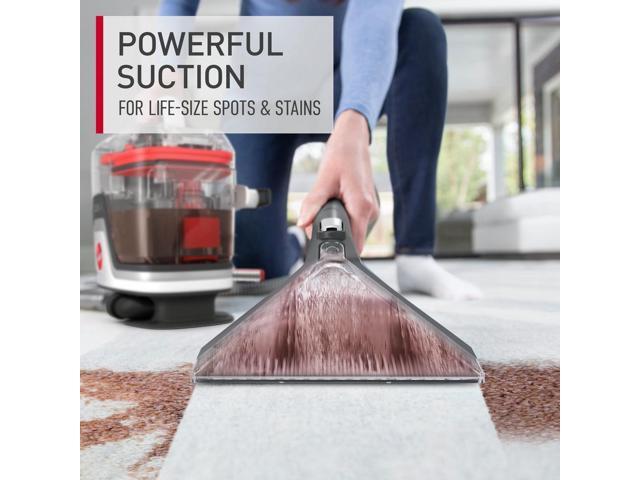 CleanSlate Pet Carpet & Upholstery Spot Cleaner, FH14000