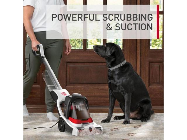 PowerDash Pet+ Compact Carpet Cleaner