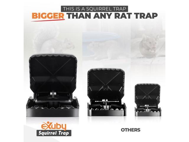 eXuby Squirrel Trap (2 pack) - Consistent & Humane Kill Every Time - No Failures - Powerful & Deadly Spring - 5' Large Opening - 96% Instant Kill -...