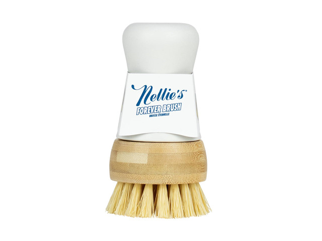 Nellie's Forever Brush Dishwashing Brush