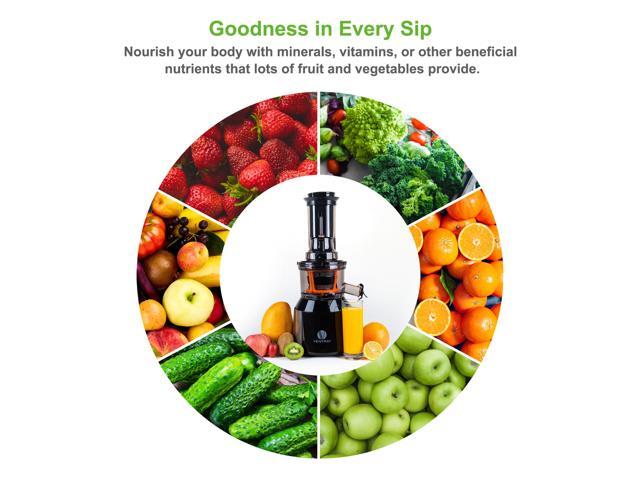 Ventray Big Feeding Mouth,Large Chute,Masticating Juicer,BPA Free,Juice Extractor,Vertical High Juice Yield, Recipe,Brush,Juice Jars,Black