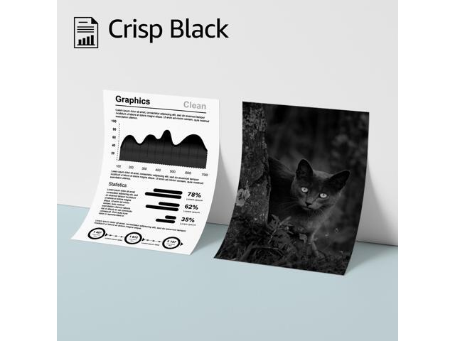 greencycle 4 Pack Black Toner Cartridge Compatible for HP 414X 414A W2020X W2020A Black Toner Works on Enterprise M455dn MFP M480f Pro M454 Series...