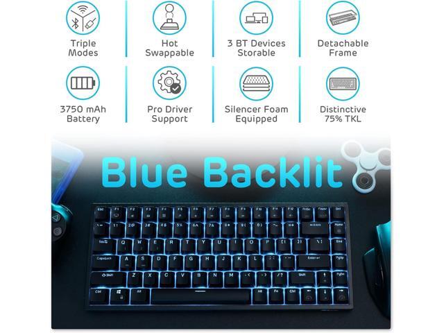 RK ROYAL KLUDGE RK84 Blue Backlit 75% Triple Mode BT5.0/2.4G/USB-C Hot Swappable Mechanical Keyboard, 84 Keys Tenkeyless Mechanical Keyboard...