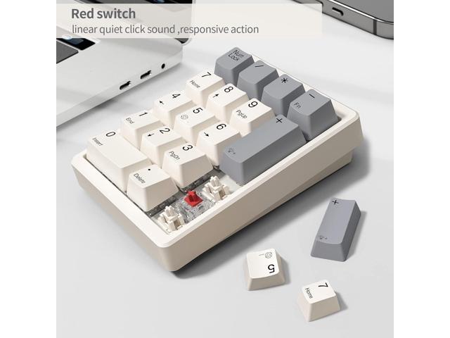 Kisnt Number Pad, Mechanical Numpad Wired USB Standard 17 Keys Numeric Keypad with PBT Keycaps White Backlit Keypad for Laptop PC TKL Keyboards...