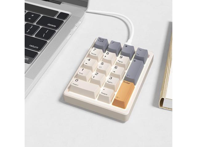 Kisnt Number Pad, Mechanical Numpad Wired USB Standard 17 Keys Numeric Keypad with PBT Keycaps White Backlit Keypad for Laptop PC TKL Keyboards...