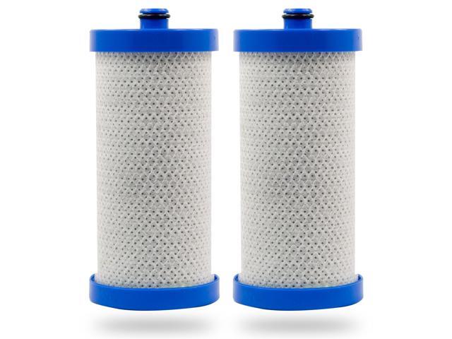Swift Green Filters SGF-WF1CB Rx Compatible for 240394501,NGRG-2000,RG-100,469910 Pharmaceuticals Refrigerator water Filter (2 Pack),Made in USA