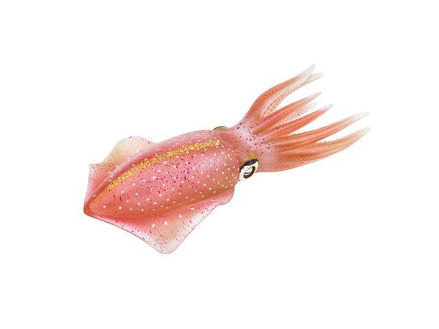 Safari Ltd Reef Squid ? Realistic Hand Painted Toy Figurine Model - Quality Construction from Safe and BPA Free Materials - For Ages 3 and Up