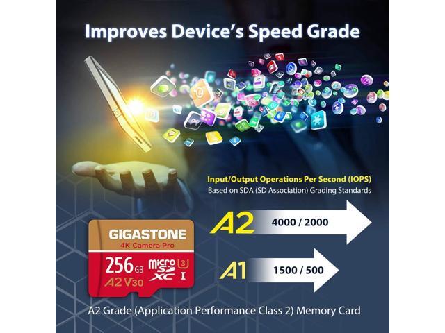 [5-Yrs Free Data Recovery] Gigastone 256GB Micro SD Card, 4K Video Recording for GoPro, Action Camera, DJI, Drone, Nintendo-Switch, R/W up to...