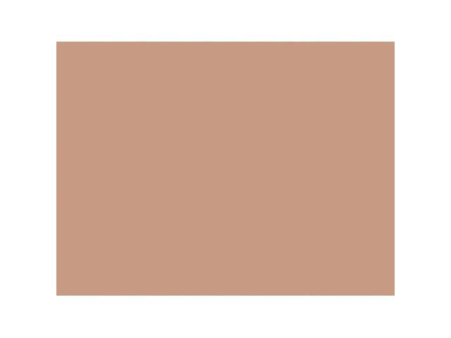 Sunworks Construction Paper, 58lb, 9 X 12, Light Brown, 50/Pack 6903