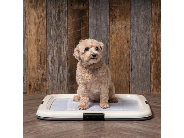 IRIS Square Pet Training Pad Holder, Dark Gray