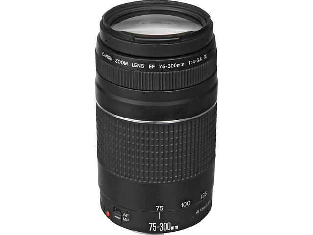 Canon EF 75-300mm f/4-5.6 III Telephoto Zoom Lens 6473A003 + Deluxe Lens Pouch + Deluxe Cleaning Kit + MicroFiber Cloth Bundle