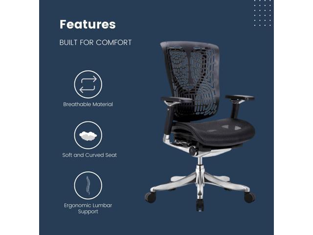 GM Seating Ergobilt High-Back Ergonomic Office Chair - Large Mesh Chair with Lumbar Support & Adjustable Armrest - Swivel Computer Desk Chair with...