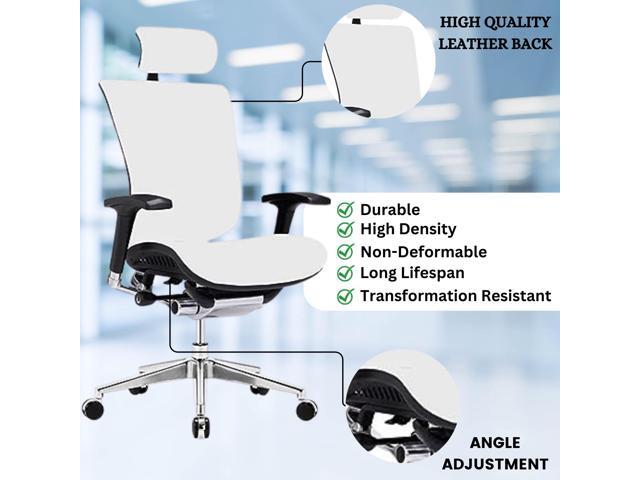 GM Seating Dreem Genuine Leather Ergonomic Office Chair - Lumbar Support, Modern Executive chair for Home and Office - Comfortable Desk Chair with...