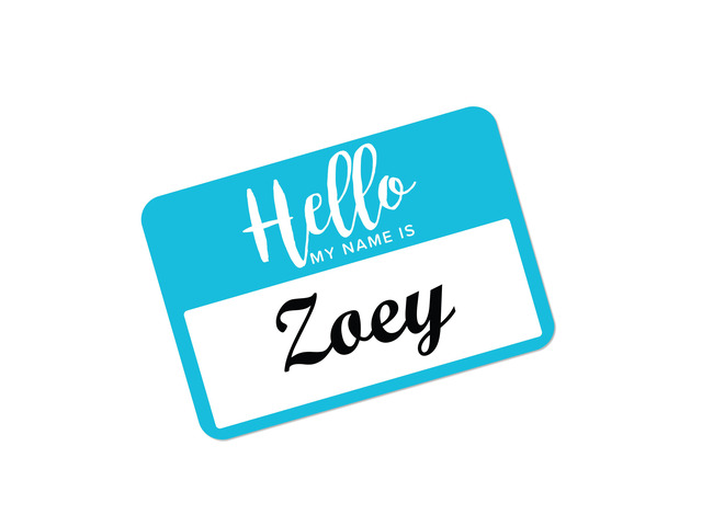 Avery 08722 Flexible Adhesive Name Badge Labels, 3 3/8' x 2 1/3', Assorted, 120/PK