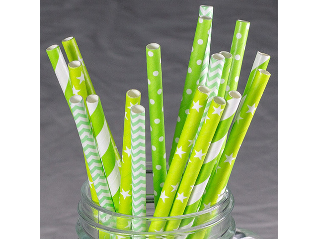 US 100~200 Bulk Packed Paper Straws Pattern Color -Biodegradable FDA Approved BR