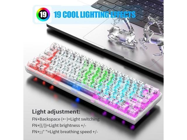 Hot Swappable Transparent Mechanical Keyboard, 60% Transparent Gasket Mounted RGB Backlit Wired Gaming Keyboard 61 Keys