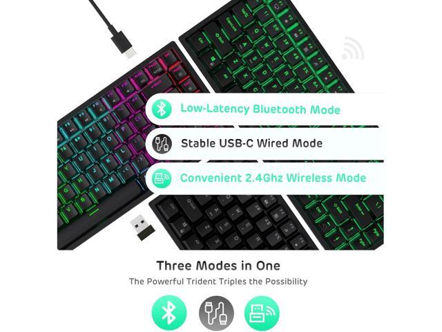 RK ROYAL KLUDGE RK84 Wireless RGB 75% Triple Mode BT5.0/2.4G/USB-C Hot Swappable Mechanical Keyboard, 84 Keys Wireless Gaming Keyboard...