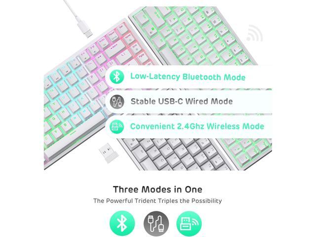 RK ROYAL KLUDGE RK84 Wireless RGB 75% Triple Mode BT5.0/2.4G/USB-C Hot Swappable Mechanical Keyboard, 84 Keys Wireless Gaming Keyboard...