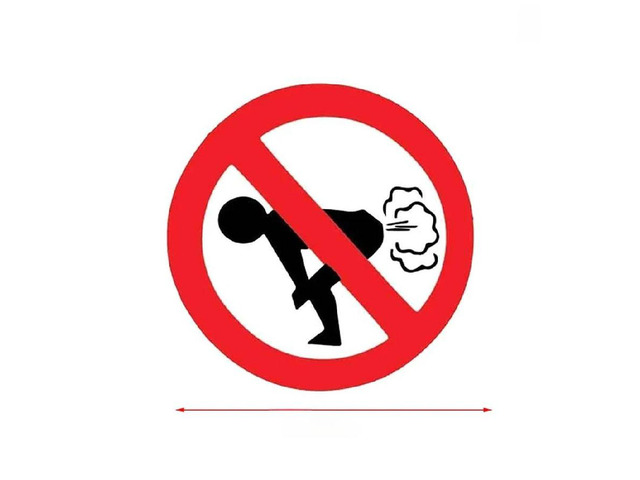 No Farting Funny Car Sticker