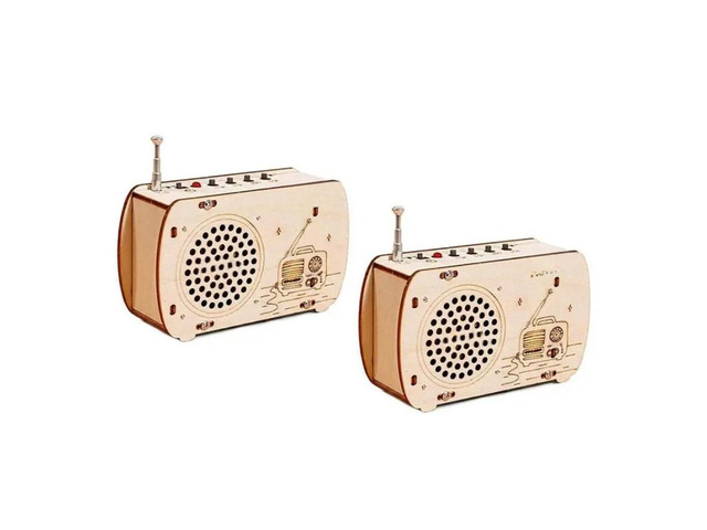 FOR Scientific Experimental Kit Electronic Learning Set Build A Radio Kit Wood R