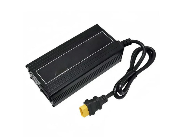 FOR Lifepo4 12V 20A 4S High Power 14.6V/12.8V AC110-220V For Lithium Iron Phosph
