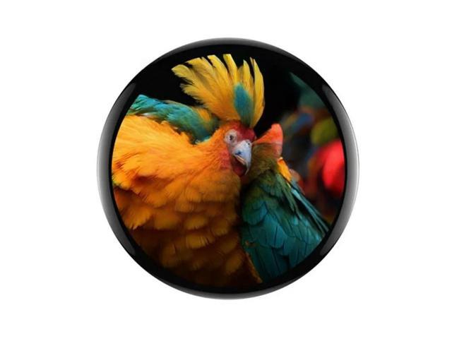 FOR -S3 1.75 Inch AMOLED Round Touch Display With 6-Axis Sensor Development Board For AI, Iot Pro