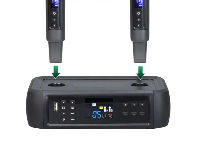 FOR D801 Electric Portable DSP Anti-Whistle Reverb Wireless Microphone For Home KTV Singing EU Plug
