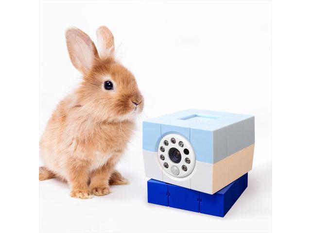 Introducing the most cutest Indoor Security Camera for Pets Petite (Blue)+ + 1yr Subscription to 30-day Continuous Video Recording in the cloud...