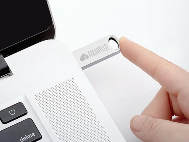 Amaryllo Artemis 2-in-1 1TB Cloud Storage + 32GB USB 2.0 Flash Drive with Auto Backup (USB Stick, Thumb Drive, Memory Stick)