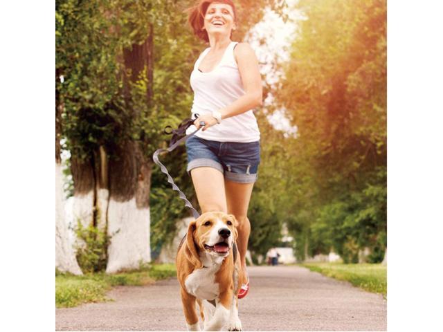 GOOPAWS Bungee Reflective Standard Dog Leash, Hands Free Dog Leash for Running, Walking, Hiking Jogging for Medium & Large Dogs up to 150lbs