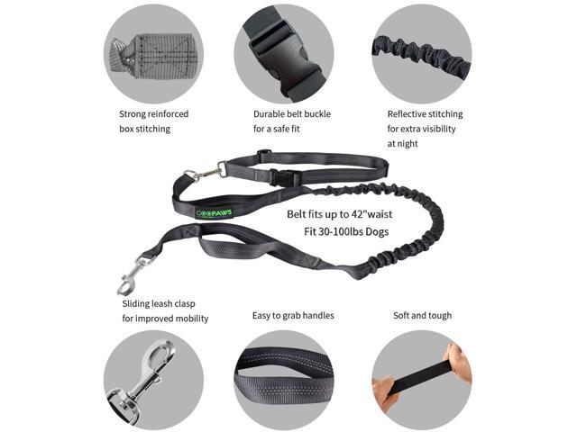 GOOPAWS Bungee Reflective Standard Dog Leash, Hands Free Dog Leash for Running, Walking, Hiking Jogging for Medium & Large Dogs up to 150lbs