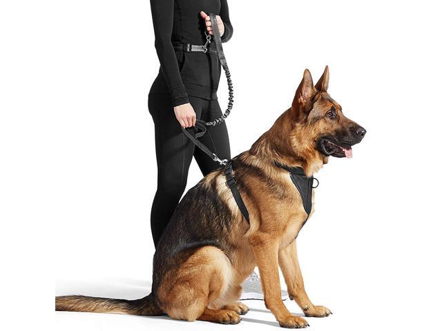 GOOPAWS Bungee Reflective Standard Dog Leash, Hands Free Dog Leash for Running, Walking, Hiking Jogging for Medium & Large Dogs up to 150lbs