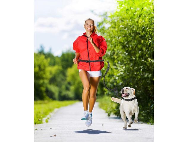GOOPAWS Bungee Reflective Standard Dog Leash, Hands Free Dog Leash for Running, Walking, Hiking Jogging for Medium & Large Dogs up to 150lbs