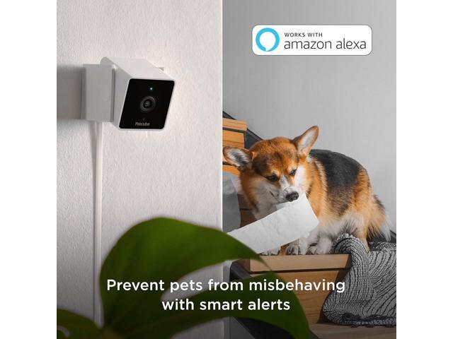 Petcube Cam Indoor Home Security Camera with 1080p HD Video, Two-Way Audio, Motion Detection, and Phone App, Night Vision Wi-Fi Camera for...