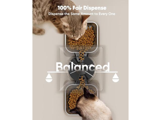 Automatic Cat Feeder for 2 Cats, 20 Cups/5L Automatic Cat Food Dispenser for Small Pets Indoor, Timed Cat Feeder for Dry Food