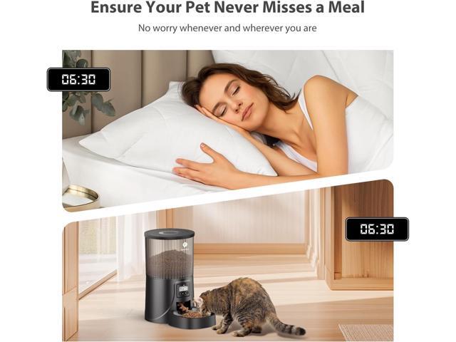Automatic Cat Feeder: 4L Timed Auto Cat Feeder- Dry Cat Food Dispenser Programmable Control 1-6 Meals for Cats and Small Medium Dogs Dual Power...