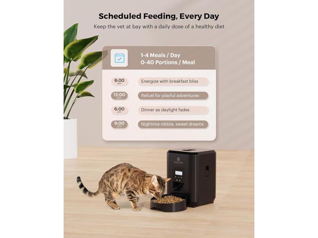 Automatic Cat Feeder - Automatic Pet Feeders for Cats and Dogs, Cat Food Dispenser for Dry Food, Timed Cat Feeders with Memory Function, 2L Auto...