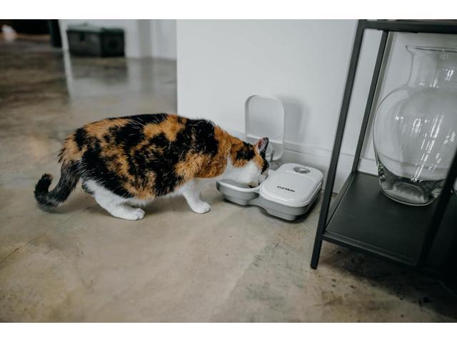 Cat Mate C200 2-Meal Automatic Pet Feeder for Cats and Small Dogs with Ice Pack