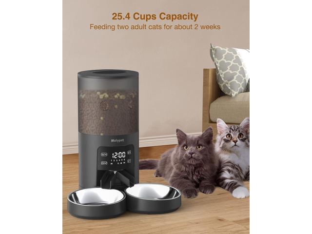 Automatic Cat Feeders for 2 Cats - 6L Cat Food Dispenser with Double Bowls, Programmable Timed Cat Feeder up to 6 Meals per Day with 10S Voice...