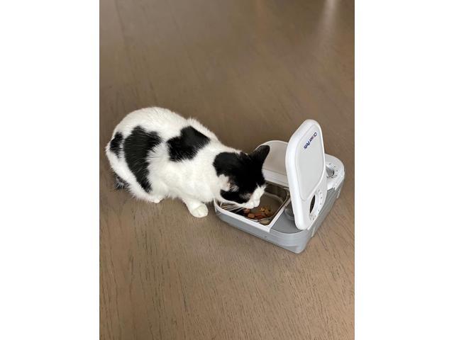 Two-Meal Automatic Pet Feeder with Stainless Steel Bowl Inserts (C200)