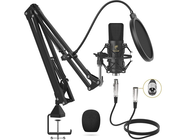 XLR Condenser Microphone, Professional Cardioid Studio Mic Kit with T20 Boom Arm