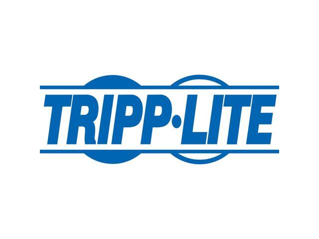Tripp Lite Replacement Lock for SmartRack Server Rack Cabinets - Front and Back Doors 2 Keys Version 1 - image 5