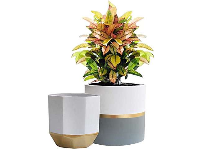 LA Jolie Muse White Ceramic Flower Pot Garden Planters 6.7 Inch Pack 2 Indoor Plant Containers with Gold and Grey Detailing