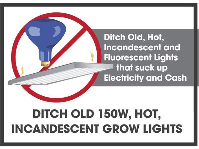 Miracle LED Absolute Daylight Spectrum, Ultra Grow Lite 2-Pack, 12W (604868)