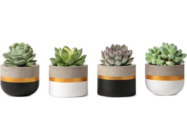 Mkono 3 Inch Mini Succulent Pots Concrete Planter Set, Modern Tiny Container for Indoor Plants, Christmas Home Office Decor Gifts for Plant Lovers.