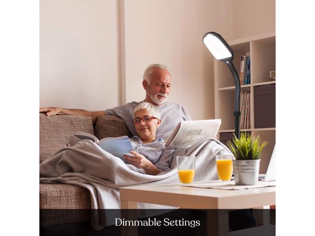 Brightech Litespan - Bright LED Floor Reading Lamp for Over Chair Crafts and Reading, Estheticians' Light for Lash Extensions, Adjustable Standing...