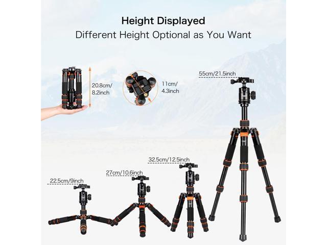 Koolehaoda Portable Tabletop Mini Tripod with Ball Head,Height Adjustable 9-21.5inch, Compact Desktop Macro Mini Tripod with Carrying Bag for DSLR...