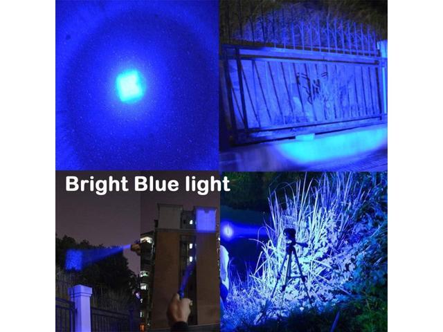 Multicolored Flashlight Pack: Red, Blue, Green, 395 UV, White LED